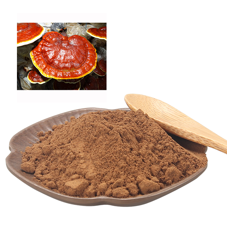Boost Immunity Naturally with Organic Red Reishi Mushroom Extract